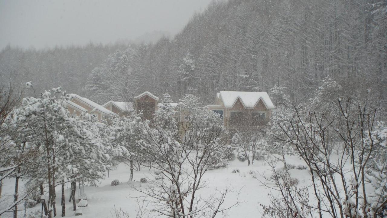 Shinevalley Pension & Hotel Pyeongchang Buitenkant foto