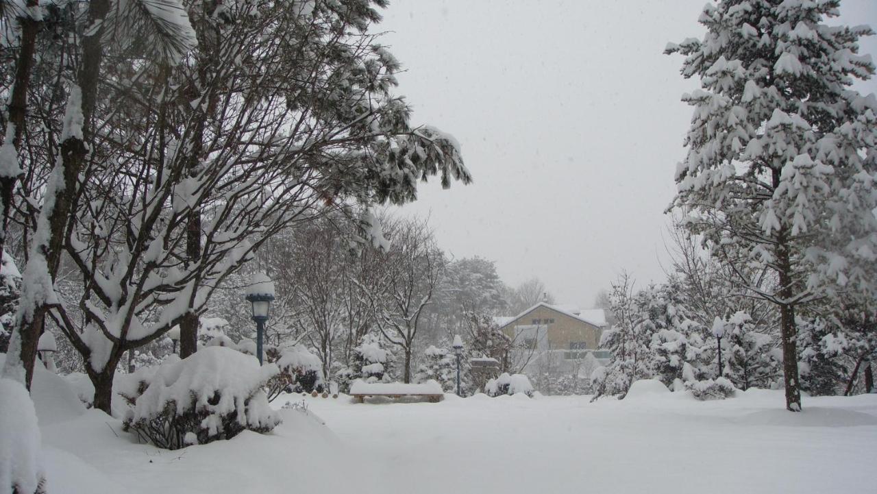 Shinevalley Pension & Hotel Pyeongchang Buitenkant foto